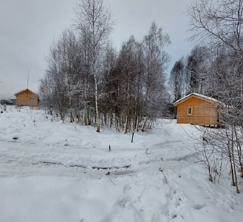 Уютный домик в заповедном лесу