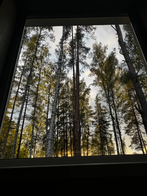 Коттедж Новый Коттедж с видом на лес и в трех минутах от изумрудного карьера — Мга