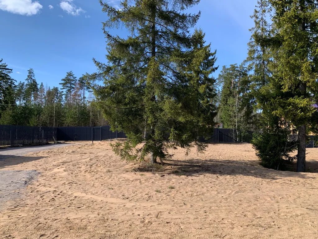 Коттедж Уютный современный дом в сосновом лесу у озера — Запорожское