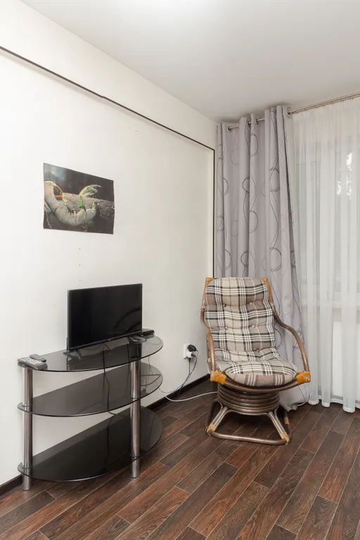 Уютная однокомнатная квартира на Ленинградской