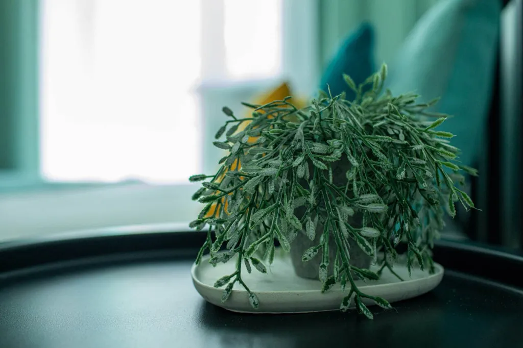 Райский уголок в самом центре города