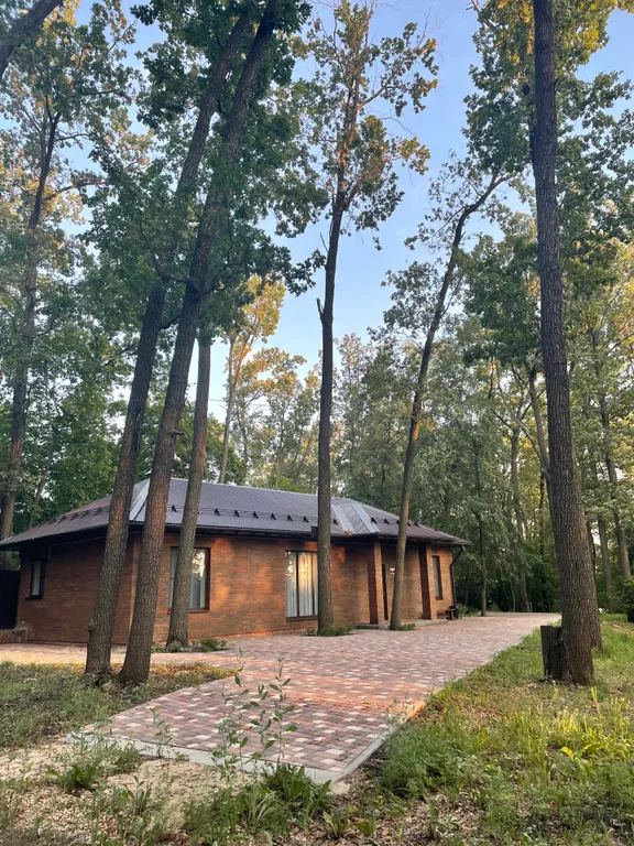 База отдыха «Дубовая роща »