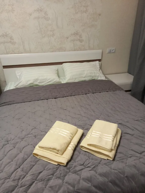 Квартира Апартаменты на Дадаева — Калининград