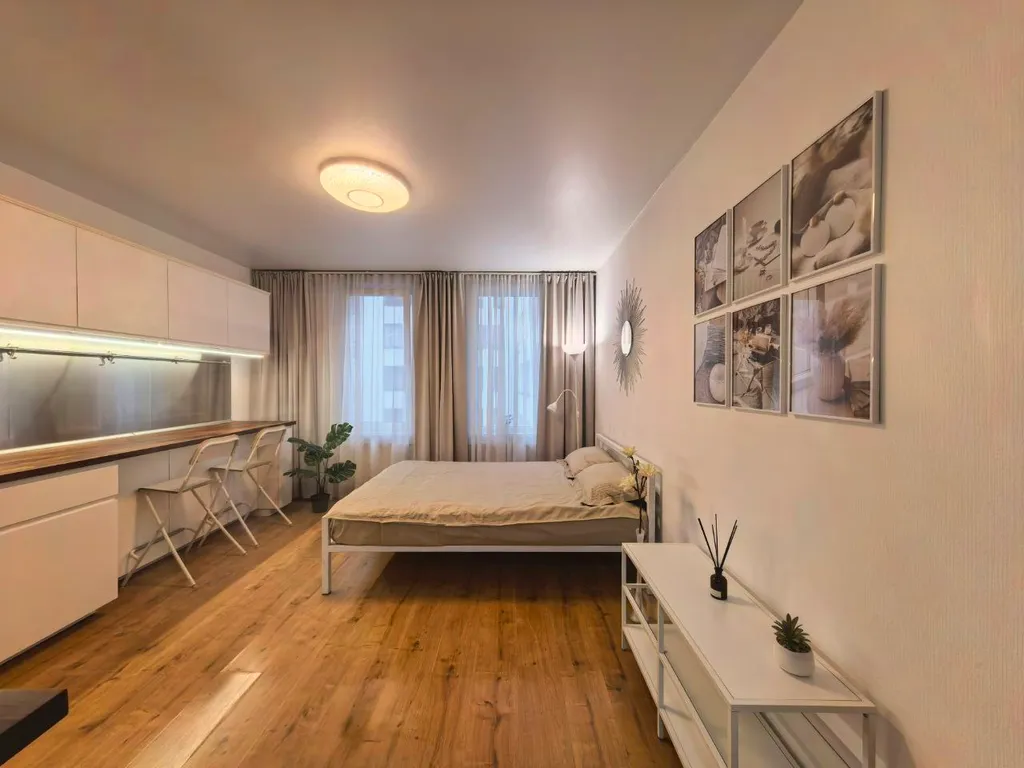 Scandinavian Style Apartment