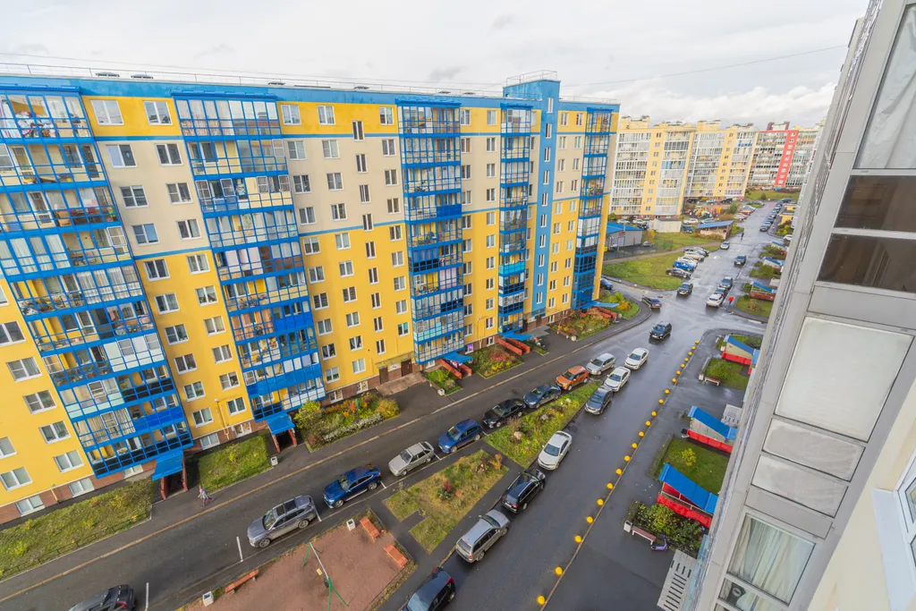 В лесной тиши