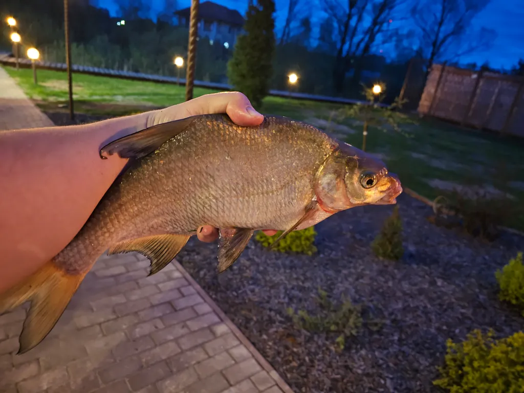 Коттедж Дом с русской баней — Белоозёрский