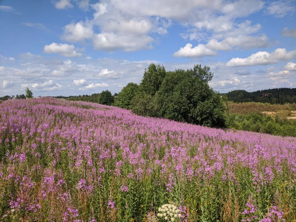 Хуторок на горке