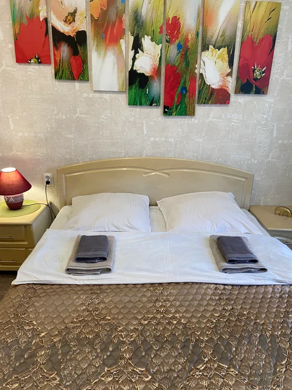 Квартира Dubki люкс с джакузи на Победе 39 — аренда посуточно в Шуя