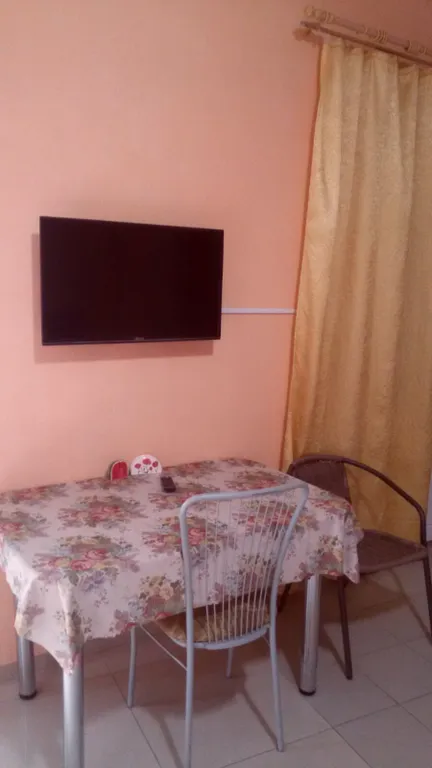 Студия с террасой