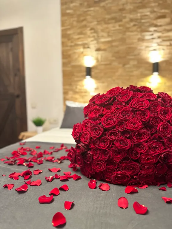 Квартира Апартаменты с красивым видом — аренда посуточно в Ростов-на-Дону