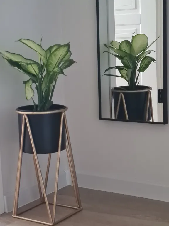 Mandarinka в центре города