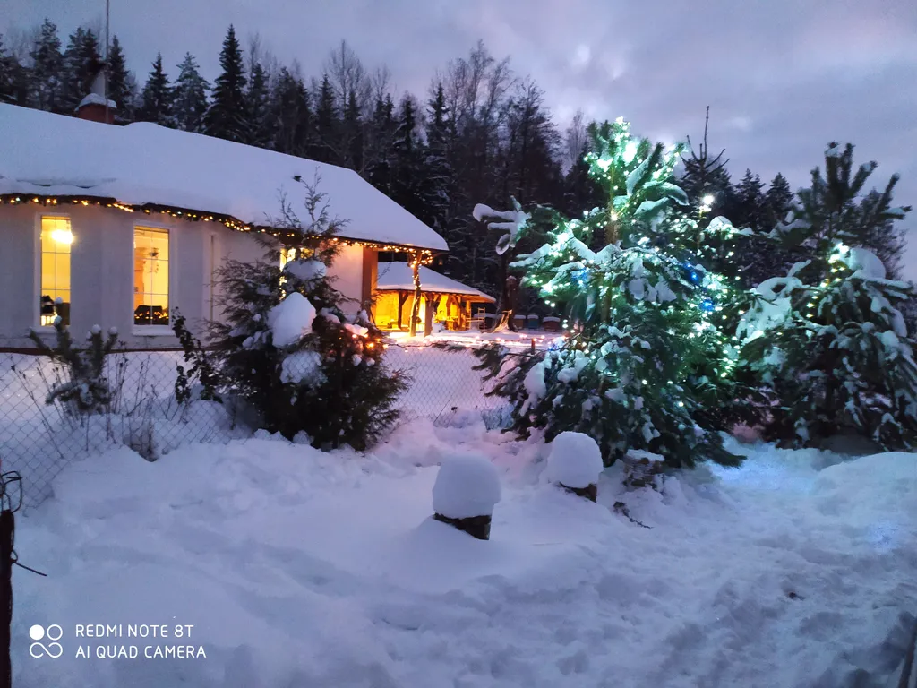 Хутор Избушка на опушке леса, возле реки