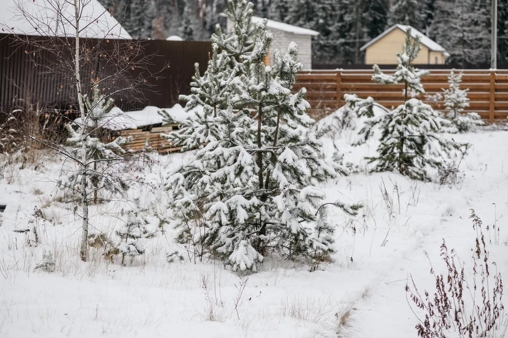 Фыр-Фыр-Фрейм Дом с баней и банным чаном