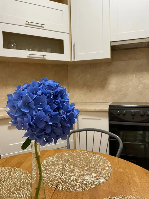 Апартаменты у Исаакиевского собора