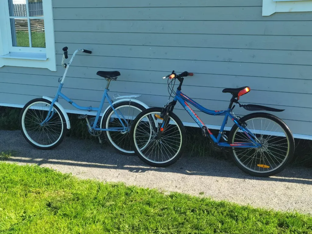 Коттедж Домик в Снетково у озера — Ларионово