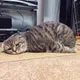 Марина
