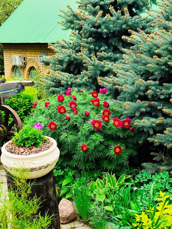 Коттедж Удивительный дом, уголок природы в центре — Казань