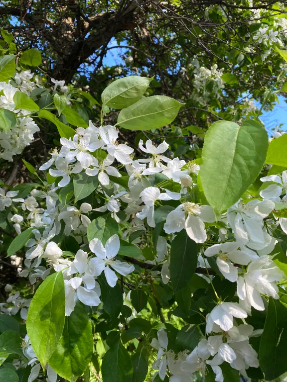 Квартира профессора в 7 минутах от жд вокзала