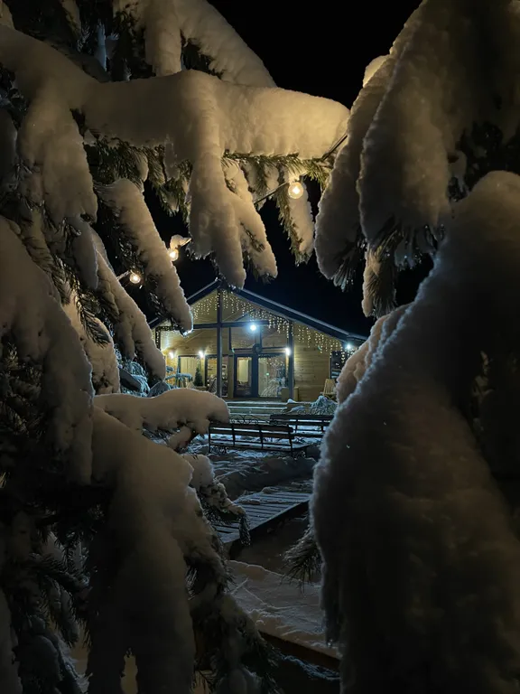 Уютный дом у леса с баней и чаном