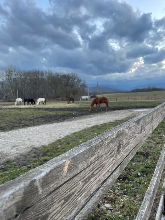 Уютный дом у горной реки