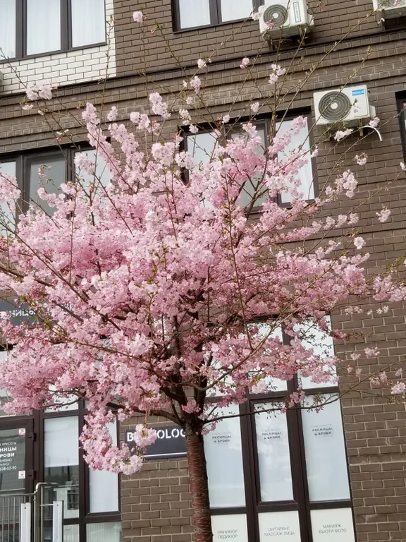 Квартира Квартира Студия с видом на море — Анапа