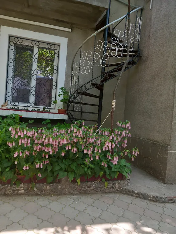 Квартира Квартира Уютный номер в пяти минутах от центральной набережной с песчаными пляж — Евпатория