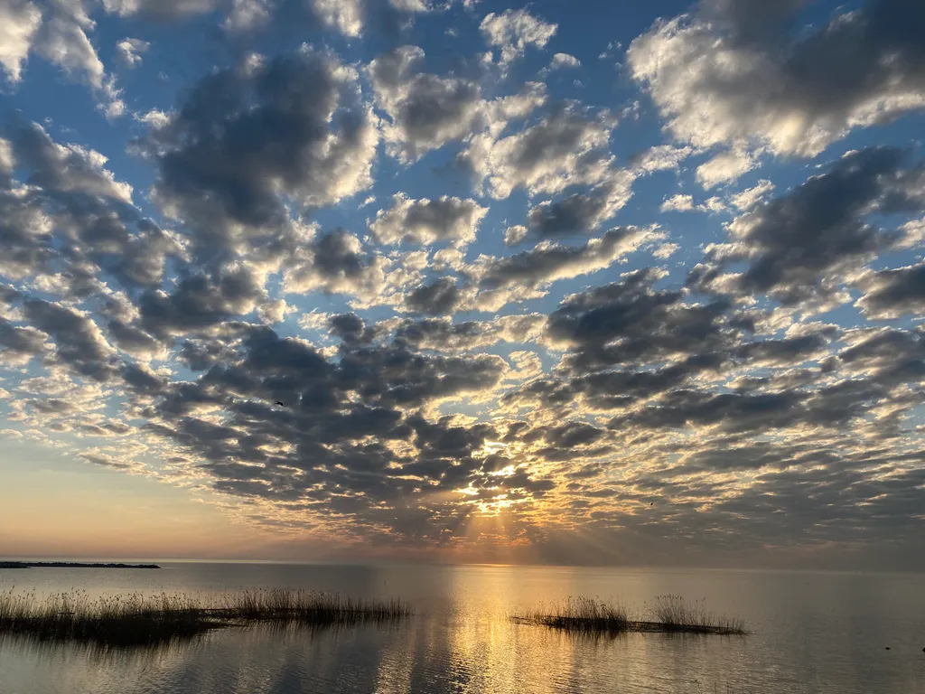 Коттедж Коттедж на Ладоге в устье реки Морье — Морье