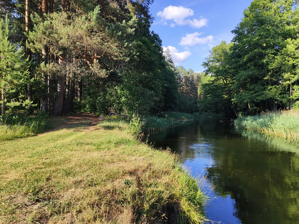 Дом в окружении леса, озёр и рек, около турбазы Алоль