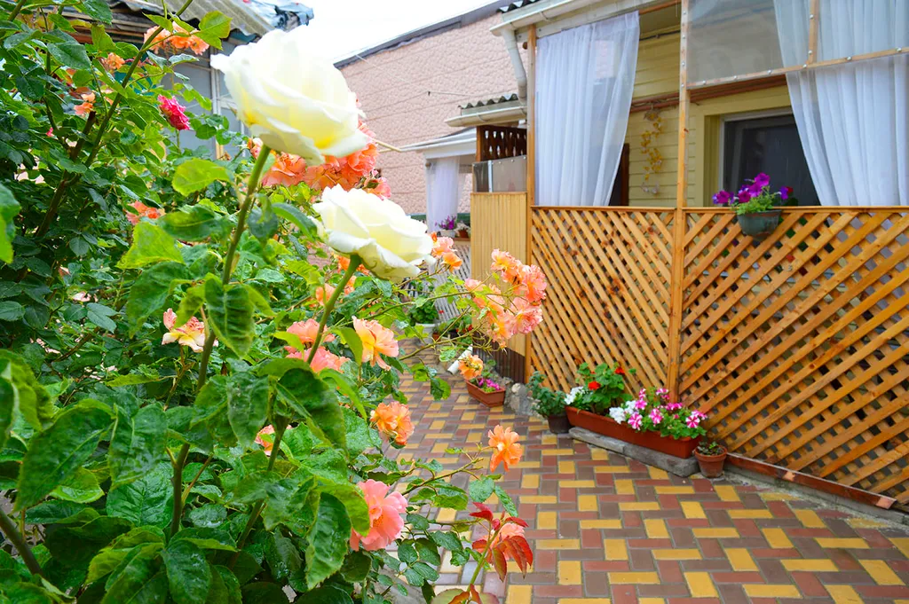 Дом рядом с морем и своим двориком