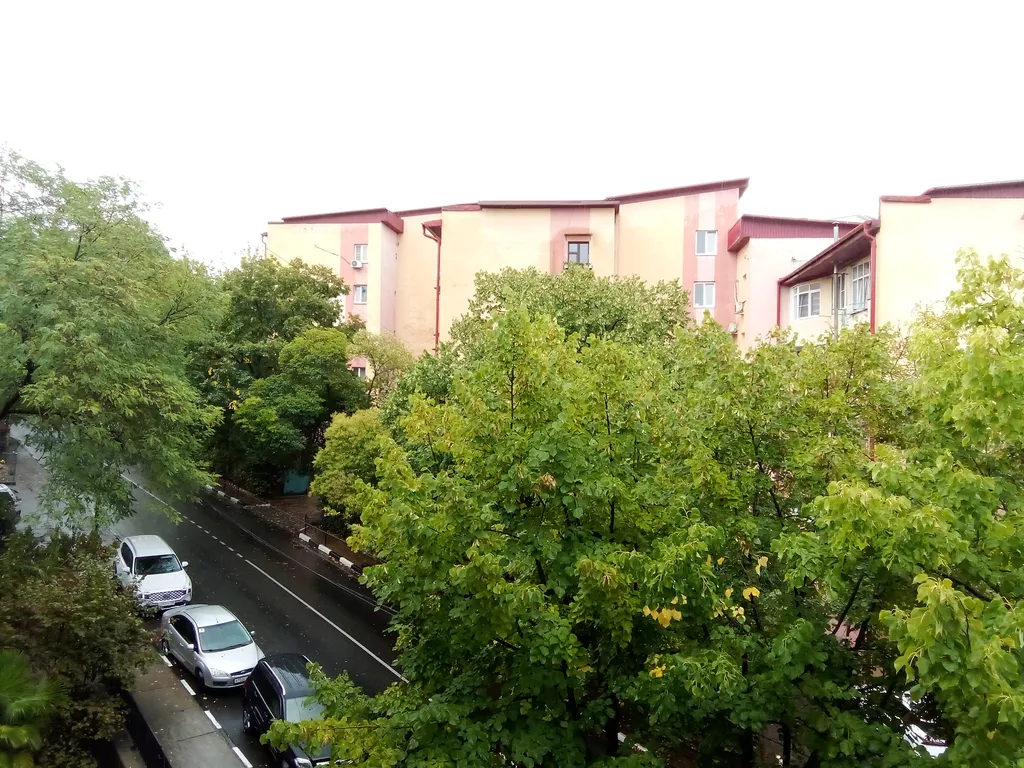 Квартира 1-комнатная Квартира — Сочи