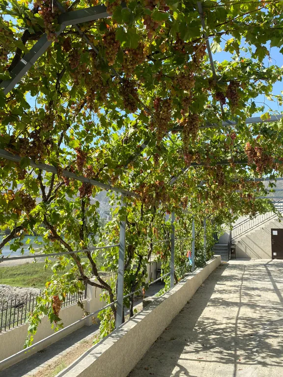 Квартира Комната — аренда посуточно в Дубки