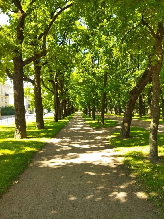 Квартира Просторная квартира в центре — Пушкин