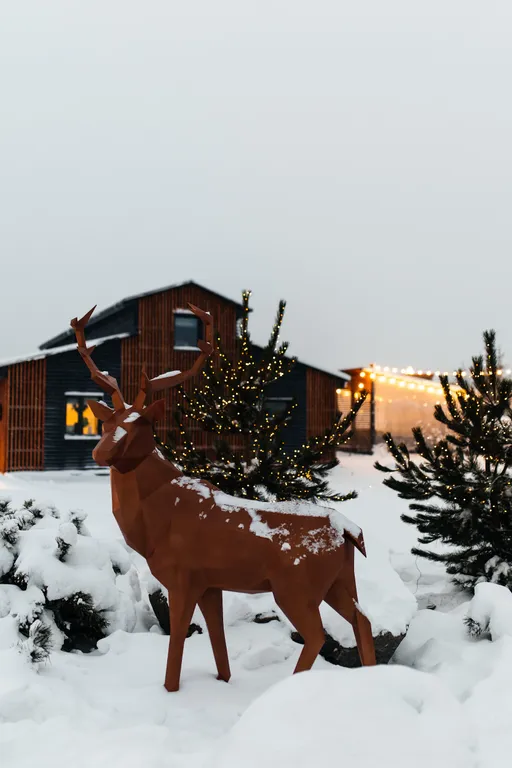 Коттедж Загородный коттедж Шале — Ломоносов
