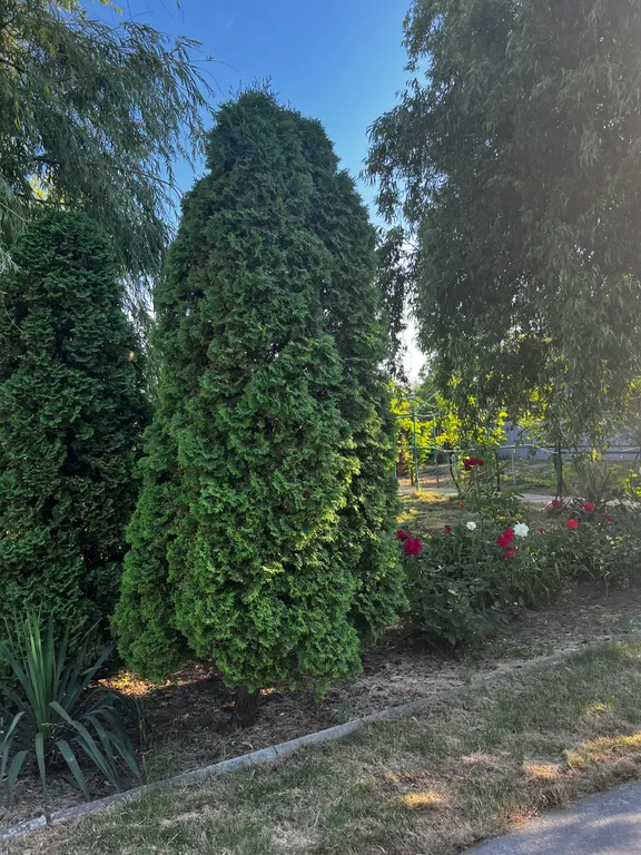 С бассейном рядом с морем