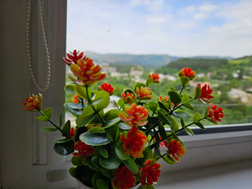 Уютная квартира с шикарным видом на горы, лес, ущелье и город — аренда посуточно в Кисловодск