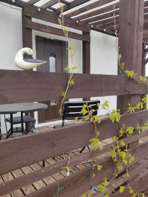 Коттедж Вилла Ла Акула, тихое место у моря с автомобилем — Зеленоградск