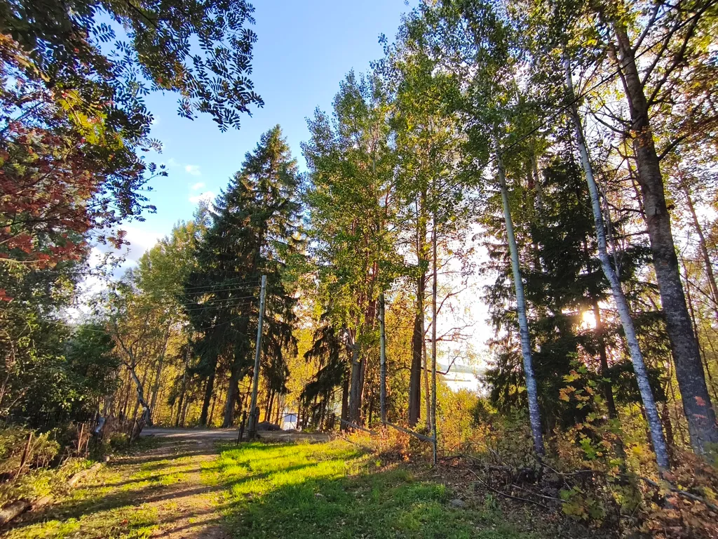 Дом мангал рыбалка лодка