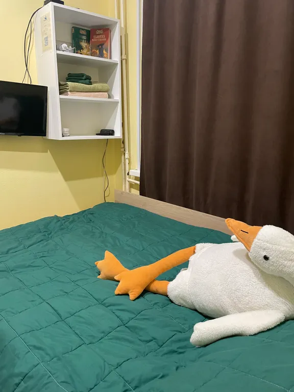 В гостях у гуся