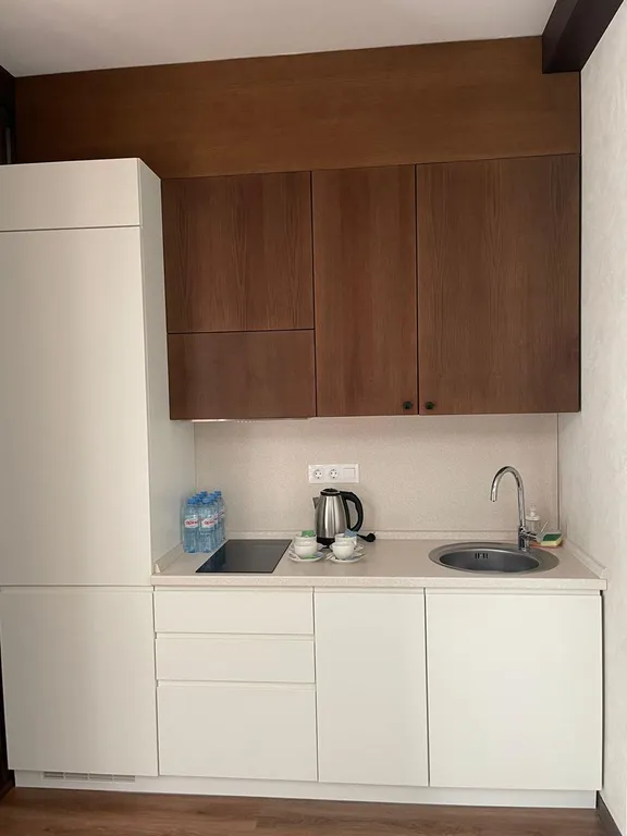 Апартамент с видом на горы