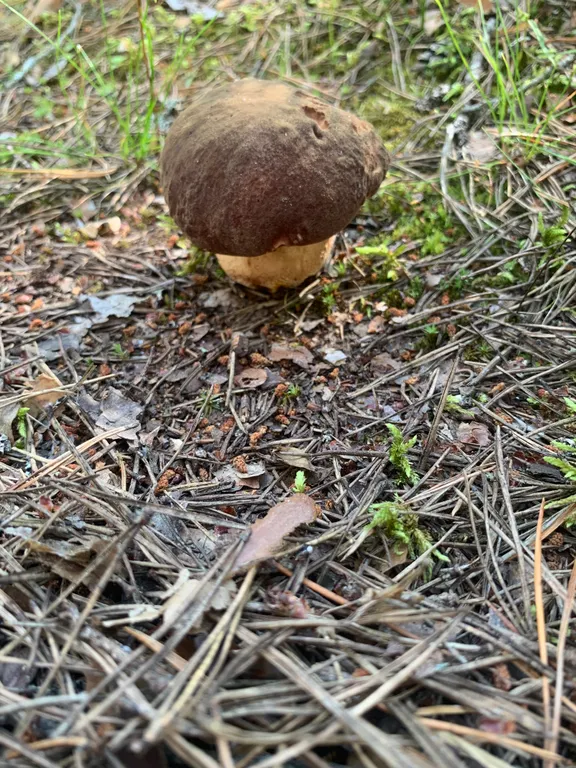 Уютный коттедж на реке