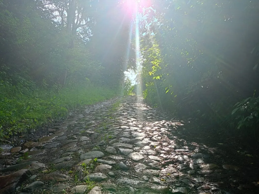 Дом для гостей Лукоморье