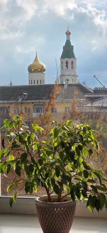Видовая сталинка в историческом центре