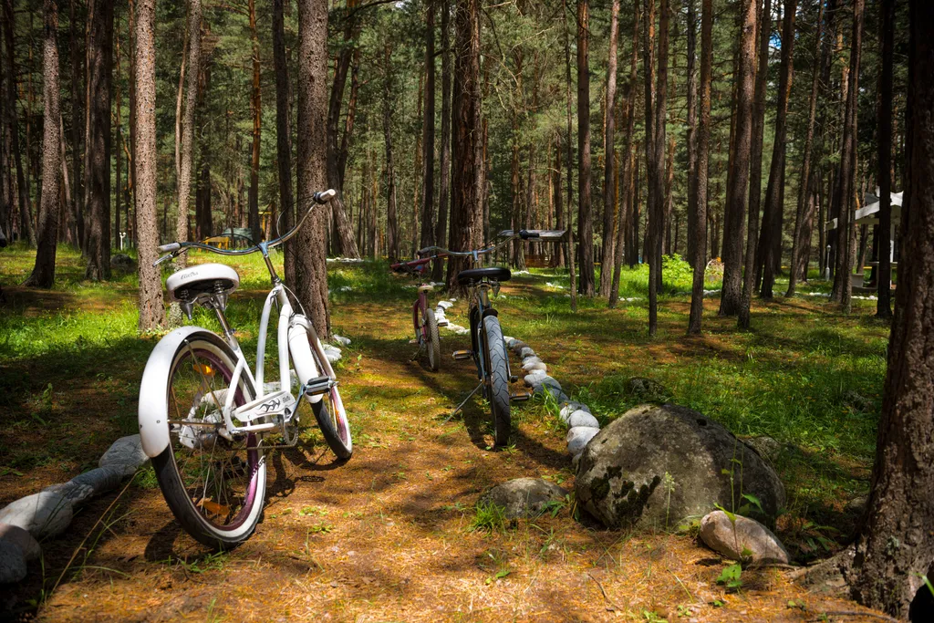 Домик из бруса в сосновом бору