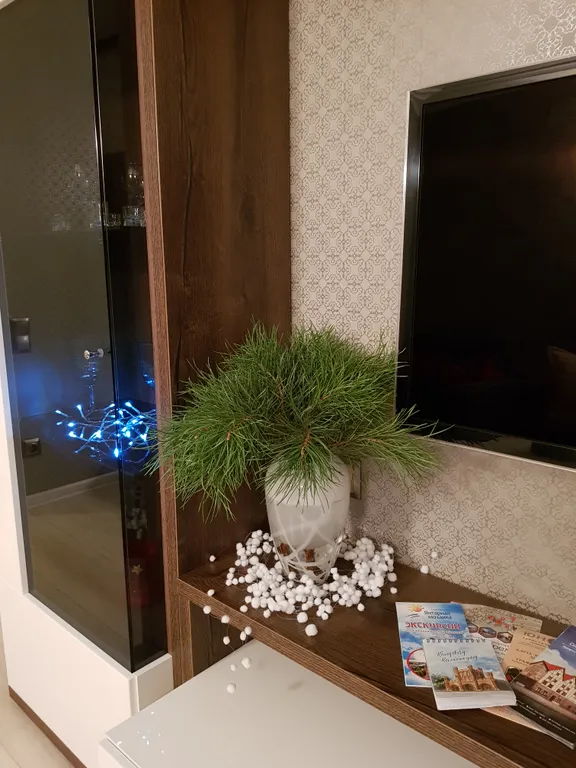 1-комнатная Квартира — аренда посуточно в Калининград