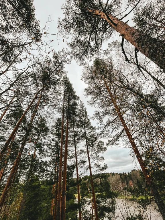 Дом на берегу залива Мусталанлахти