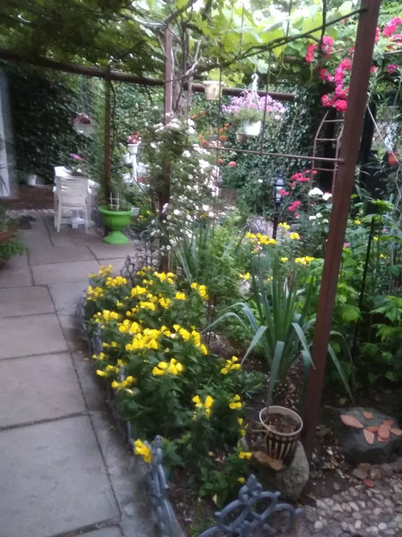 Комната в частном дворе