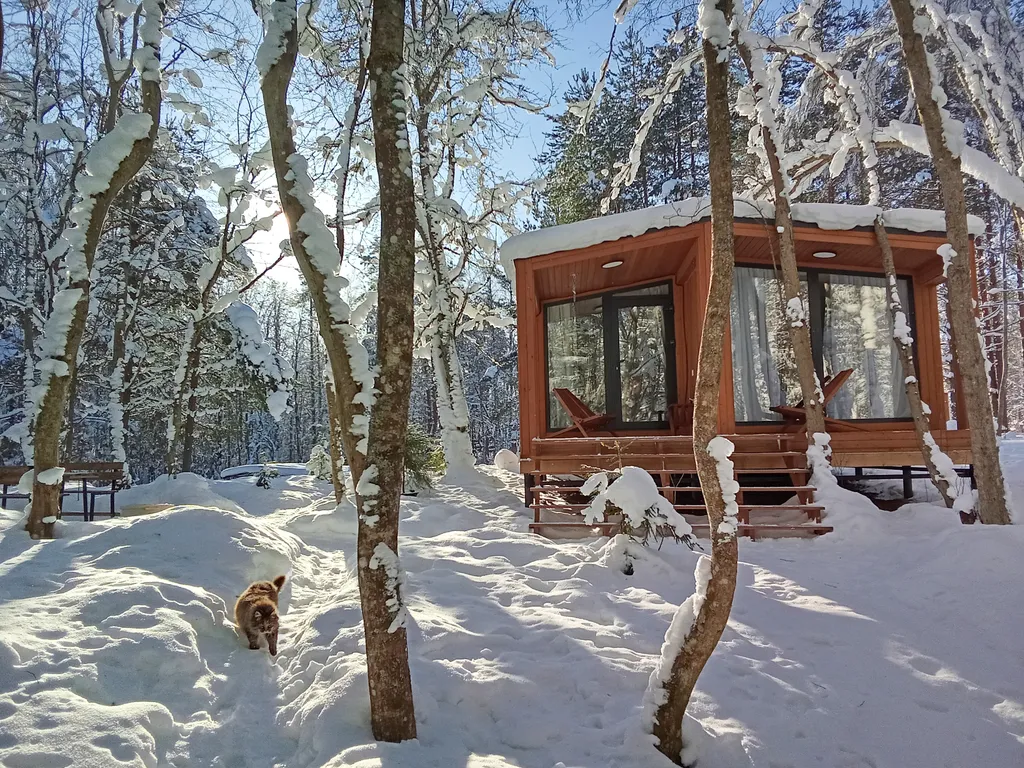 Коттедж Ольха на базе Аскелма в Коробицыно