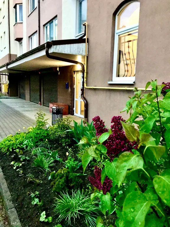 Апартаменты в центре