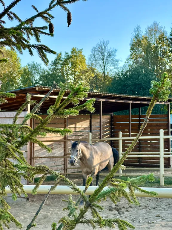 Стильный дом с чаном