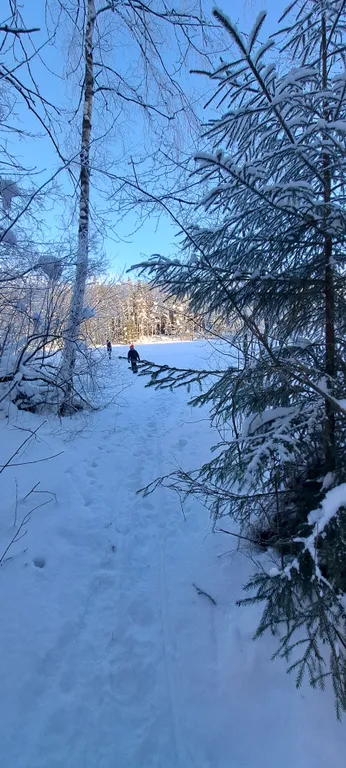 Дом в дубах